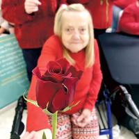 Rose Day_1