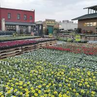 Ross Seed’s annual Plant Days brings thousands of gardeners to El Reno