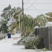 The ice storm in October brought down power lines and snapped tree limbs
