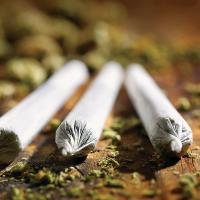 Legalized marijuana use headed to voters_art