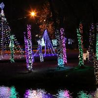 City to flip switch on Lights in Legion Park_1