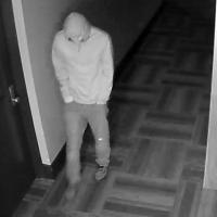 Carnegie Library suspect photo