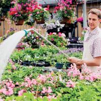 Landscaping tips to conserve water_art