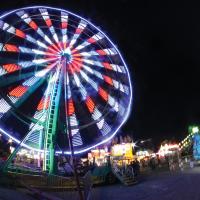 The colors of the carnival rides popped in the night sky