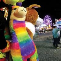 Attendees at the fair played games along the midway