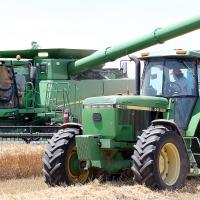 Local farmer Mike Crowly off-loads wheat