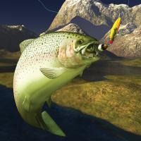 Fish after lure