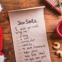 Dear Santa Claus_12-16-23