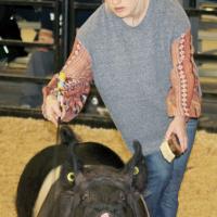 The Canadian County Junior Livestock Show gets under way this weekend