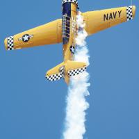 Come watch them fly_story
