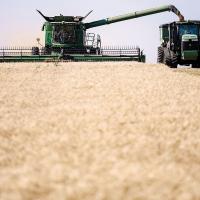 Wheat harvest in Garfield County ends on a high note this year