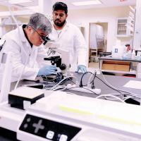 OSU One Health Lab to transform agricultural genetic research_story