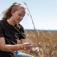 Kendall Christensen examines native grasses