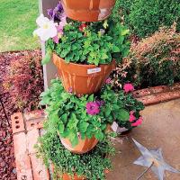 Apply to become an Extension Master Gardener_art