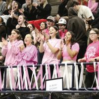 Pink Out Night_story