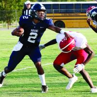 Stiffarm