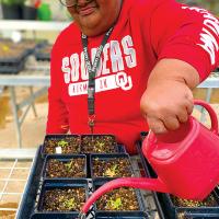Shelly waters a flat of seedlings at the CFL greenhouse