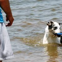 Beating the heat_1