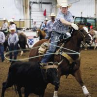 Clarke Gordon throws his rope toward the horns of a steer