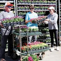 Plant Days under way_1
