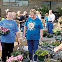 Ross Seed’s annual and widely popular Plant Days Sale got under way Thursday morning