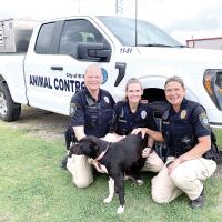 Shiloh Powers, Sara Burton and Liz Hodgson with Sonic, one of the shelter dogs