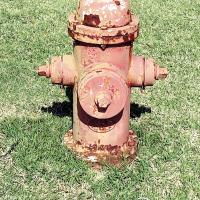 This fire hydrant is showing its age with rust and chipping paint