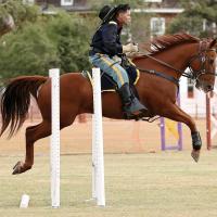 Eduardo Gonzalez of Fort Huachuca and his horse fly over a gate