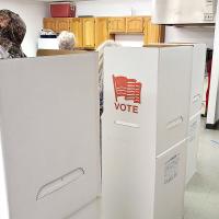 Voters lined up to cast ballots in the state’s primary vote