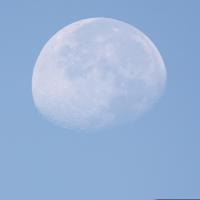 Blue moon_story