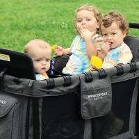 Charley, Trygg and Barrett Kline