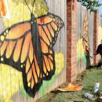 Picturing the flight of the monarchs_story