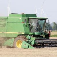 Cutting the wheat_story