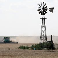 Harvest_1