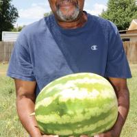 Big watermelon