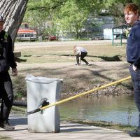 Dip in the pond_story