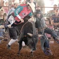 Bo Halford tries to help free the hand of rider Tucker Brogdan