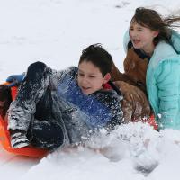 Playing in the snow_Blackowl tries to keep sled upright
