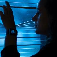 Seasonal effective disorder is common during the winter months