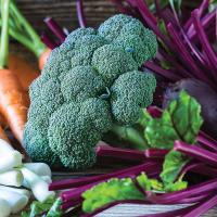 Growing veggies in a fall garden provides healthy food options