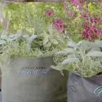Grow bags are a lightweight, mobile option for gardeners_art