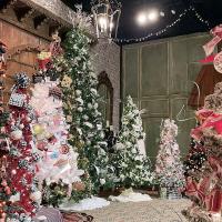 Blessing Baskets held its annual Festival of the Trees Christmas in July