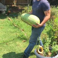 David Stirman carrying watermelon