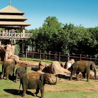The elephant sanctuary at the Oklahoma City Zoo