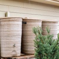 Way to capture rainwater in the landscape - a rain barrel