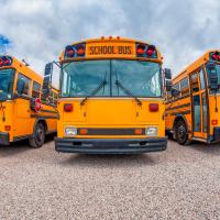 School Buses