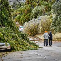 Social media response to disaster lacks follow-through_art