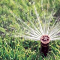 watering