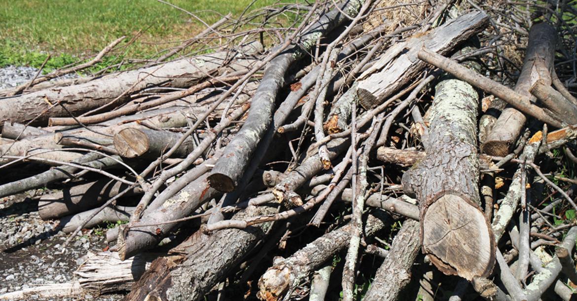 City of El Reno to begin curbside storm-related tree limb collection_slideshow