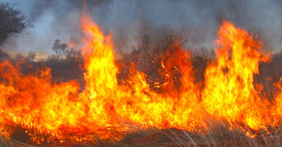 Extreme fire danger forces area burn ban_slideshow